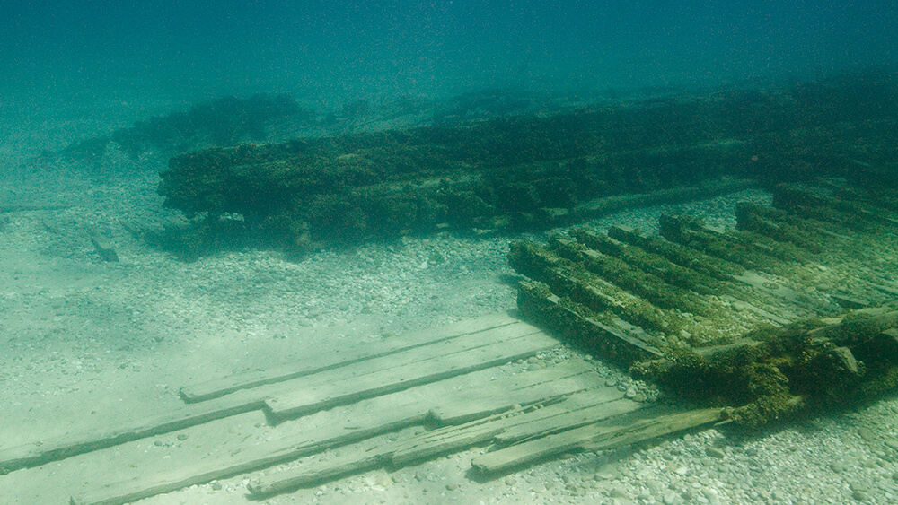wood planks covered in marine growth at the bottom of a lake