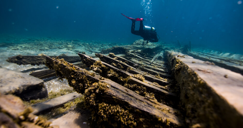 a diver inspects a shipwreck