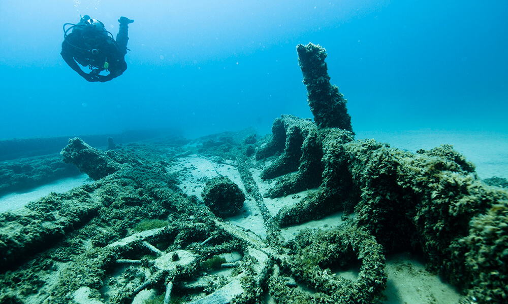 a diver swims above a shipwreck