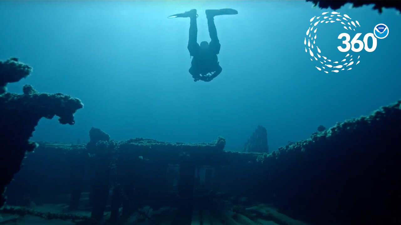 The silhouette of a diver swimming above a shipwreck