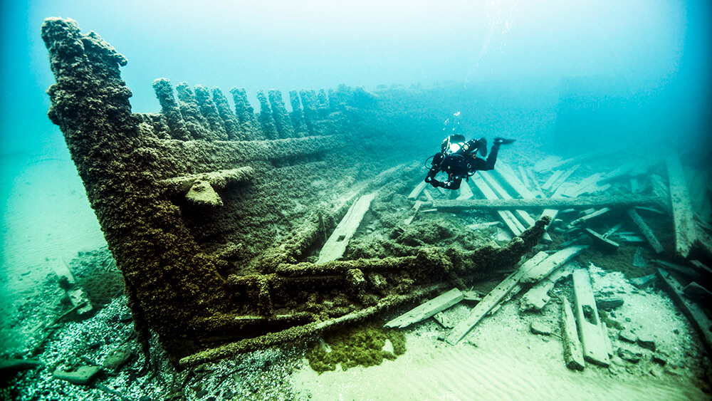 a diver inspects a shipwreck
