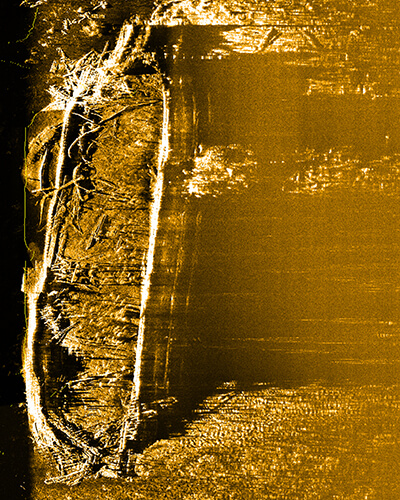 sonar scan of a shipwreck