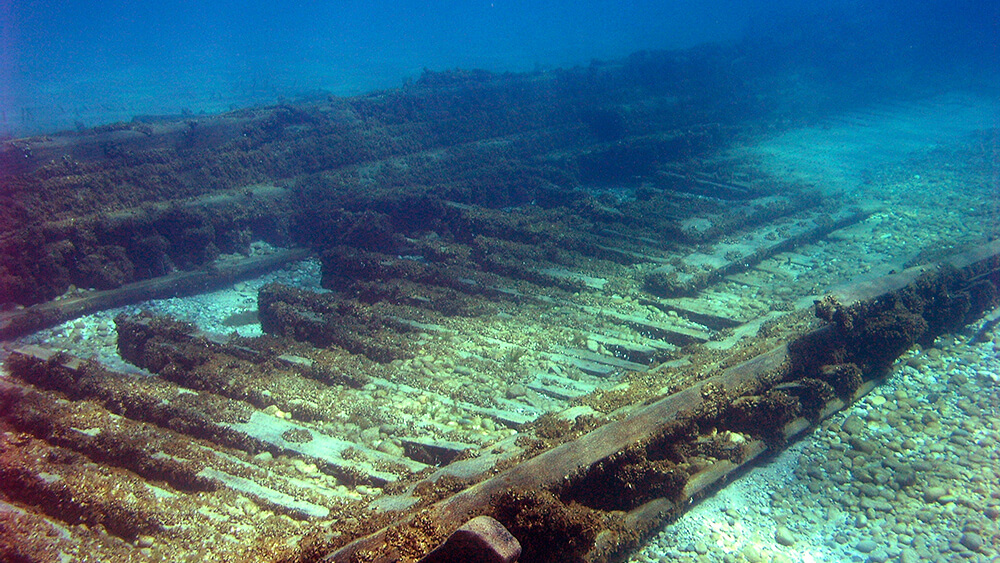 wood planks covered in marine growth at the bottom of a lake