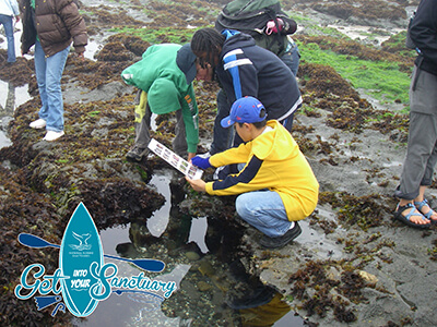 Kids check a fact sheet while inspecting tide pools