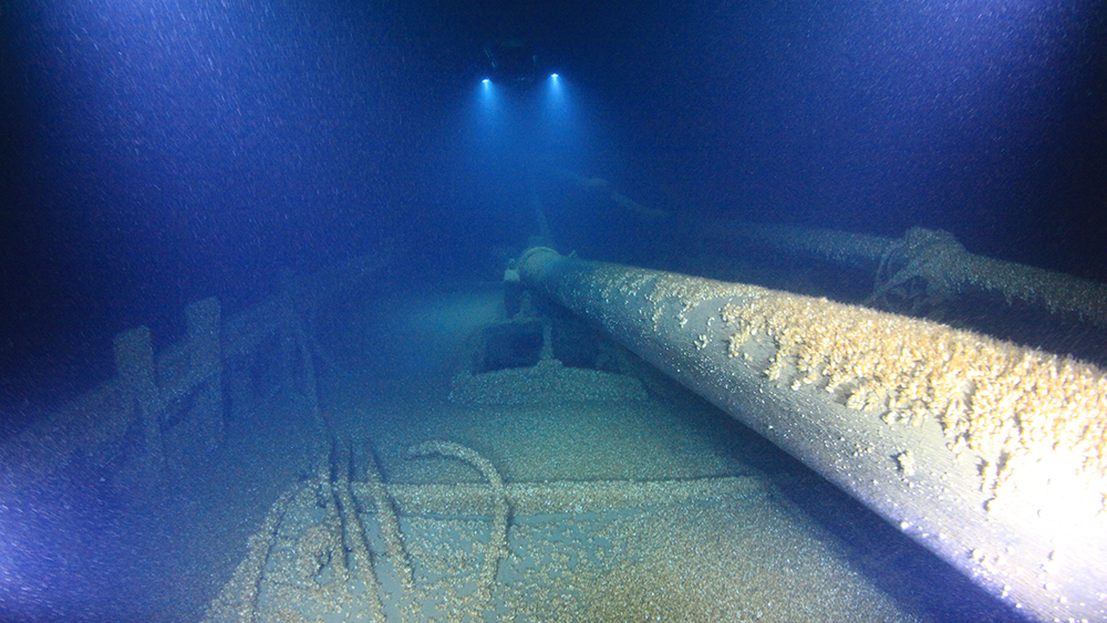 a diver shines a light on a shipwreck