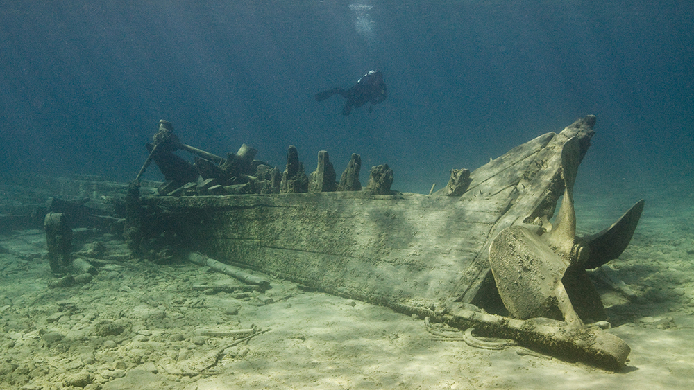 a diver floats above a shipwreck