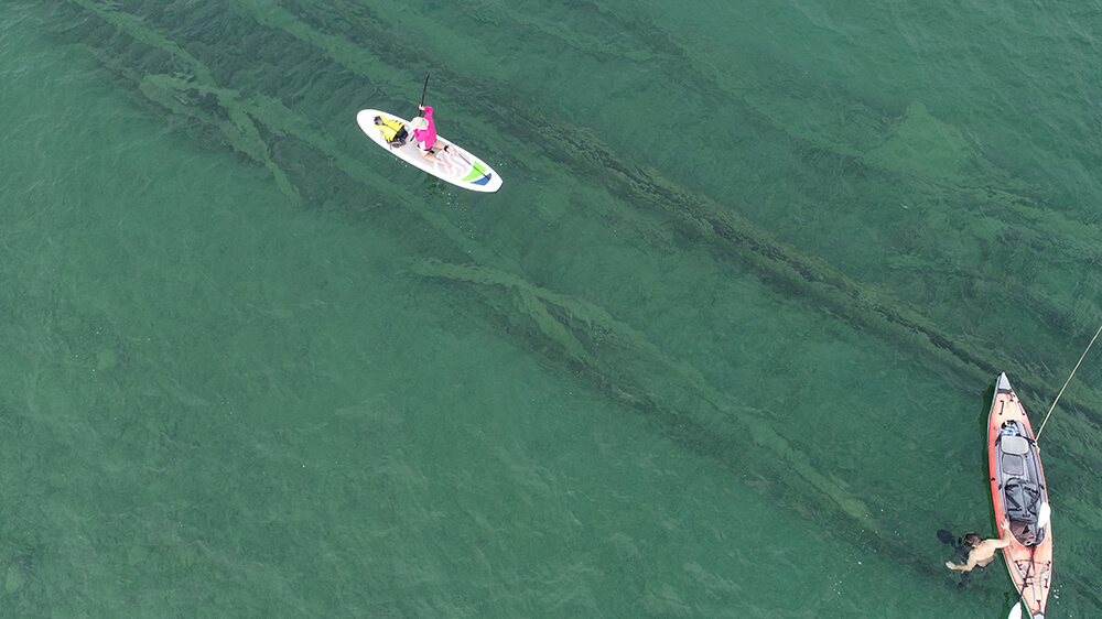 Paddleboarders float above a shipwreck visible form the surface