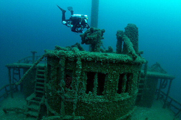 a diver floats above a shipwreck