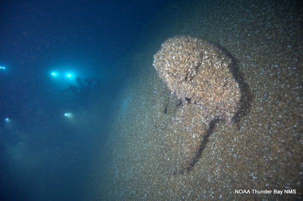 An ROV (remotely operated vehicle) shines light on the outer hull of Etruria